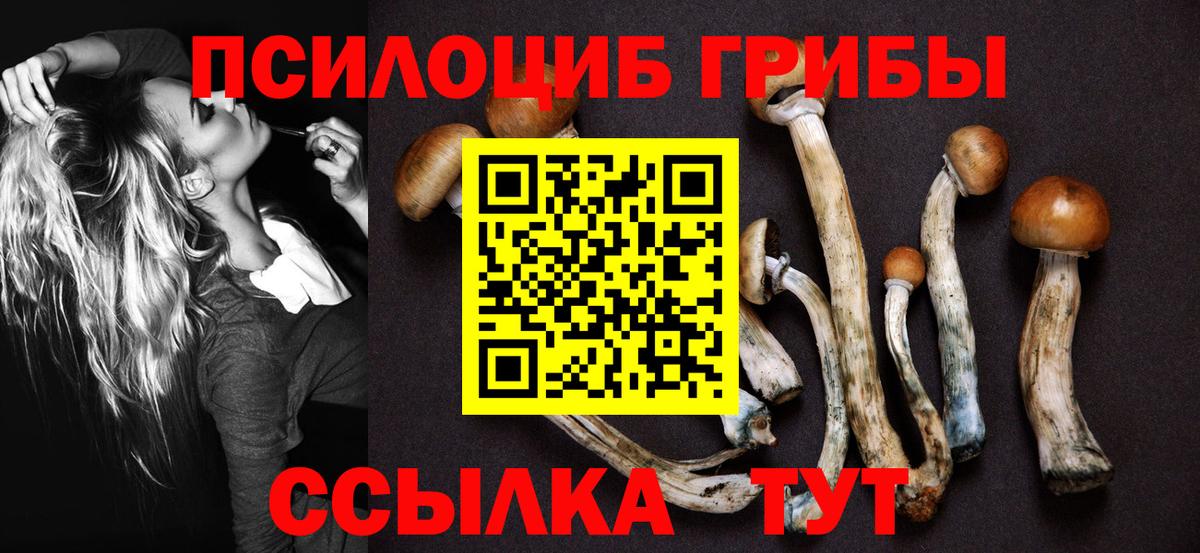 Псилоцибиновые грибы Psilocybine cubensis  Вход с VPN  Норильск 